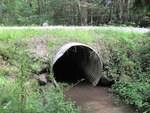 Culvert Crossing, Fowler Brook at Knights Rd, Albion, Maine