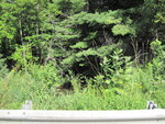 Culvert Crossing, Fowler Brook at Route 202, Unity, Maine