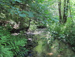 Culvert Crossing, Fowler Brook at Waning Rd, Unity, Maine