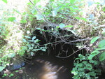 Culvert Crossing, Fowler Brook at Waning Rd, Unity, Maine