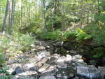 Culvert Crossing, Fred Ashe Brk at Route 1, Gouldsboro, Maine