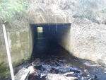 Culvert Crossing, Fred Ashe Brk at Route 1, Gouldsboro, Maine