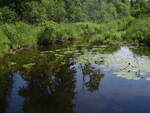Culvert Crossing, Gales Brook at Route 6, Abbot, Maine