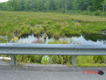 Culvert Crossing, Gardiner Pond Outlet at Gardiner Rd, Wiscasset, Maine
