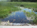Culvert Crossing, Gardner Brook at Route 133, Winthrop, Maine