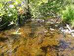 Culvert Crossing, Geneva Bog Brook at Saddleback Mountain Rd, Dallas Plt, Maine