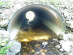 Culvert Crossing, Geneva Bog Brook at Saddleback Mountain Rd, Dallas Plt, Maine