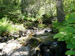 Culvert Crossing, Geneva Bog Brook at Saddleback Mountain Rd, Dallas Plt, Maine