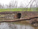Culvert Crossing, Gerrish Brook at Royalsborough Rd, Durham, Maine