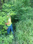 Culvert Crossing, Goff Mill Brook at Log Cabin Rd, Arundel, Maine