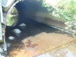 Culvert Crossing, Goff Mill Brook at Log Cabin Rd, Arundel, Maine