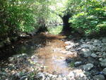 Culvert Crossing, Goff Mill Brook at Log Cabin Rd, Arundel, Maine
