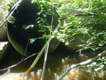 Culvert Crossing, Goff Mill Brook at Lombard Rd, Arundel, Maine