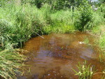 Culvert Crossing, Goff Mill Brook at Proctor Rd, Arundel, Maine