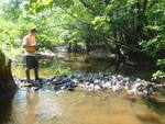 Culvert Crossing, Goff Mill Brook at Sinnott Rd, Arundel, Maine