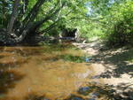 Culvert Crossing, Goff Mill Brook at Sinnott Rd, Arundel, Maine