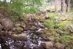 Culvert Crossing, Gold Stream at Route 176, Surry, Maine