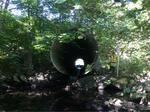 Culvert Crossing, Goose River at Route 1, Rockport, Maine