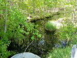 Culvert Crossing, Grant Brook at Heath Rd, Saco, Maine