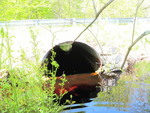 Culvert Crossing, Grant Brook at Heath Rd, Saco, Maine
