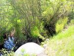 Culvert Crossing, Grant Brook at Heath Rd, Saco, Maine