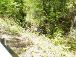 Culvert Crossing, Grant Brook at Rocky Hill Rd, Saco, Maine