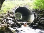 Culvert Crossing, Grant Brook at Route 11, T4 Indian Purchase Twp, Maine