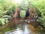 Culvert Crossing, Great Works River at Berwick St, Sanford, Maine