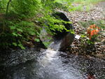 Culvert Crossing, Great Works River at Route 202, Sanford, Maine