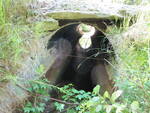 Culvert Crossing, Greeley Brook at Route 121, Otisfield, Maine