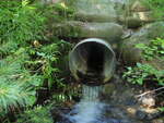 Culvert Crossing, Green Brook at Rabbit Valley Rd, Oxford, Maine