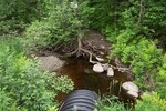 Culvert Crossing, Greenland Brook at Williams Road, Bradford, Maine