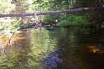 Culvert Crossing, Gulch Brook at Route 1, Orland, Maine