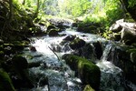 Culvert Crossing, Gulch Brook at Route 1, Orland, Maine