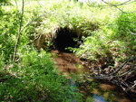 Culvert Crossing, Gulf Stream at North Rd, Sebec, Maine