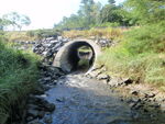 Culvert Crossing, Gully Brook at Flying Point Rd/ Bow Street, Freeport, Maine