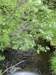 Culvert Crossing, Hale Brook at Aroostook Scenic Highway, Moro Plt, Maine