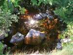 Culvert Crossing, Halfmoon Stream at Goerge Road, Prospect, Maine