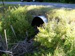 Culvert Crossing, Halfmoon Stream at Goerge Road, Prospect, Maine