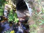 Culvert Crossing, Halfmoon Stream at Goerge Road, Prospect, Maine