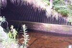 Culvert Crossing, Halfmoon Stream at North Searsport Road, Prospect, Maine