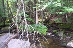 Culvert Crossing, Halfmoon Stream at North Searsport Road, Prospect, Maine