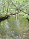 Culvert Crossing, Hammond Brook at North Guilford Rd, Monson, Maine