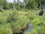 Culvert Crossing, Hammond Brook at North Guilford Rd, Monson, Maine