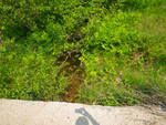 Culvert Crossing, Hanson Brook at Convene Rd, Sebago, Maine