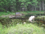 Culvert Crossing, Hanson Brook at Hanson Dr, Baring Plt, Maine