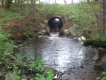 Culvert Crossing, Hanson Brook at Hanson Dr, Baring Plt, Maine