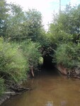 Culvert Crossing, Hardy Brook at Wilton Road, Farmington, Maine