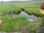 Culvert Crossing, Harmon Brook at Flag Pond Rd, Saco, Maine