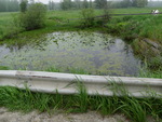 Culvert Crossing, Harmon Brook at Flag Pond Rd, Saco, Maine